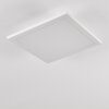 Barasat Plafoniera LED Bianco, 1-Luce