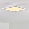 Barasat Plafoniera LED Bianco, 1-Luce