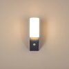 Porus Applique da esterno LED Antracite, 1-Luce, Sensori di movimento
