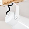 Oksbol Plafoniera Legno chiaro, Bianco, 1-Luce