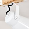 Oksbol Plafoniera Legno chiaro, Bianco, 1-Luce