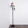 Barbengo Lampada da terra Legno chiaro, Nero, 2-Luci