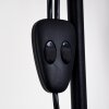 Barbengo Lampada da terra Legno chiaro, Nero, 2-Luci