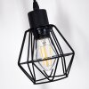 Barbengo Lampada da terra Legno chiaro, Nero, 2-Luci