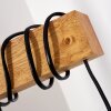 Barbengo Lampada da terra Legno chiaro, Nero, 2-Luci