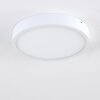 Broglen Plafoniera LED Bianco, 1-Luce