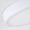 Broglen Plafoniera LED Bianco, 1-Luce