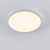 Broglen Plafoniera LED Bianco, 1-Luce