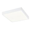 Globo ALENA Plafoniera LED Bianco, 1-Luce