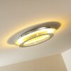 Springdale Plafoniera LED Argento, 4-Luci