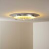 Springdale Plafoniera LED Argento, 4-Luci