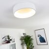 Kampala Plafoniera LED Bianco, 1-Luce