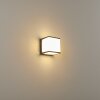 Buckau Applique da esterno LED Antracite, Bianco, 1-Luce