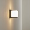 Buckau Applique da esterno LED Antracite, Bianco, 1-Luce