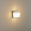 Buckau Applique da esterno LED Antracite, Bianco, 1-Luce