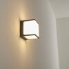 Buckau Applique da esterno LED Antracite, Bianco, 1-Luce