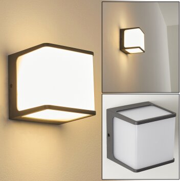 Buckau Applique da esterno LED Antracite, Bianco, 1-Luce