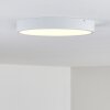 Broglen Plafoniera LED Bianco, 1-Luce