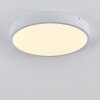 Broglen Plafoniera LED Bianco, 1-Luce