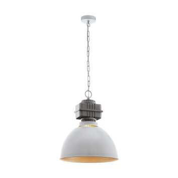 Eglo ROCKINGHAM Lampadario a sospensione Grigio, 1-Luce