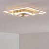 Chilkat Plafoniera LED Nichel opaco, 1-Luce