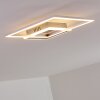 Chilkat Plafoniera LED Nichel opaco, 1-Luce