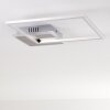 Chilkat Plafoniera LED Nichel opaco, 1-Luce