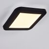 Siguna Plafoniera LED Bianco, 1-Luce