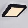 Siguna Plafoniera LED Bianco, 1-Luce