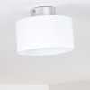 Baraboo Plafoniera LED Nichel opaco, 2-Luci
