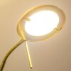 Rom Piantana LED Ottone, 2-Luci