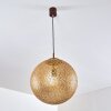 Vigra Lampadario a sospensione Marrone, Oro, 1-Luce