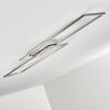 Veyrier Plafoniera LED Acciaio satinato, 2-Luci