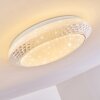 Burton Plafoniera LED Bianco, 1-Luce