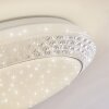 Burton Plafoniera LED Bianco, 1-Luce