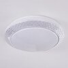 Burton Plafoniera LED Bianco, 1-Luce