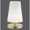 Paul Neuhaus SONJA Lampada da Tavolo LED Ottone, 1-Luce