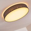 Temuka Plafoniera LED Bianco, 1-Luce, Telecomando