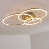 Chilkat Plafoniera LED Nichel opaco, 1-Luce