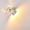 Safari Applique Bianco, 1-Luce
