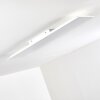 Antria Plafoniera LED Bianco, 1-Luce, Telecomando, Cambia colore