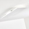 Antria Plafoniera LED Bianco, 1-Luce, Telecomando, Cambia colore