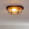 Catawba Plafoniera Ruggine, 1-Luce