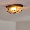 Catawba Plafoniera Ruggine, 1-Luce