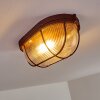 Catawba Plafoniera Ruggine, 1-Luce