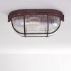 Catawba Plafoniera Ruggine, 1-Luce