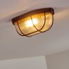 Catawba Plafoniera Ruggine, 1-Luce