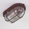 Catawba Plafoniera Ruggine, 1-Luce