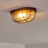 Catawba Plafoniera Ruggine, 1-Luce