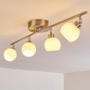 Motala Plafoniera LED Nichel opaco, 4-Luci, Telecomando, Cambia colore